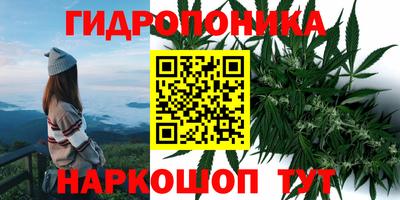 таблы Волгодонск