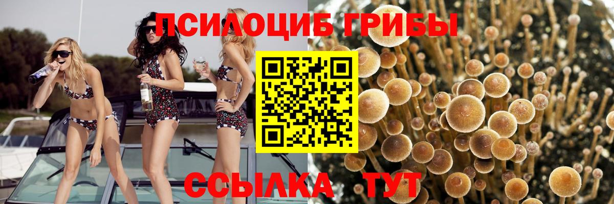 Заречный  Псилоцибиновые грибы GOLDEN TEACHER  Вход с VPN 